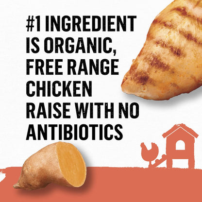 Organic Wet Cat Food Pate, Organic Chicken & Sweet Potato Adult Recipe - (Pack of 12) 3 Oz. Cans
