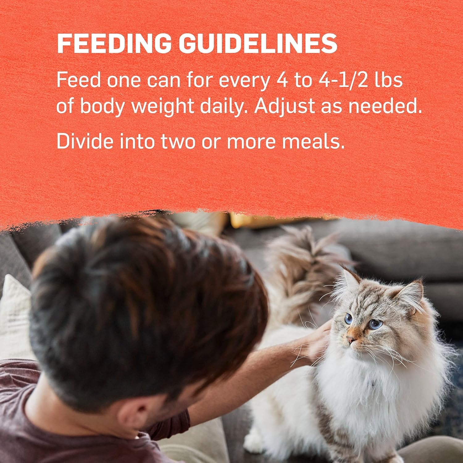 Organic Wet Cat Food Pate, Organic Chicken & Sweet Potato Adult Recipe - (Pack of 12) 3 Oz. Cans