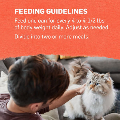 Organic Wet Cat Food Pate, Organic Chicken & Sweet Potato Adult Recipe - (Pack of 12) 3 Oz. Cans
