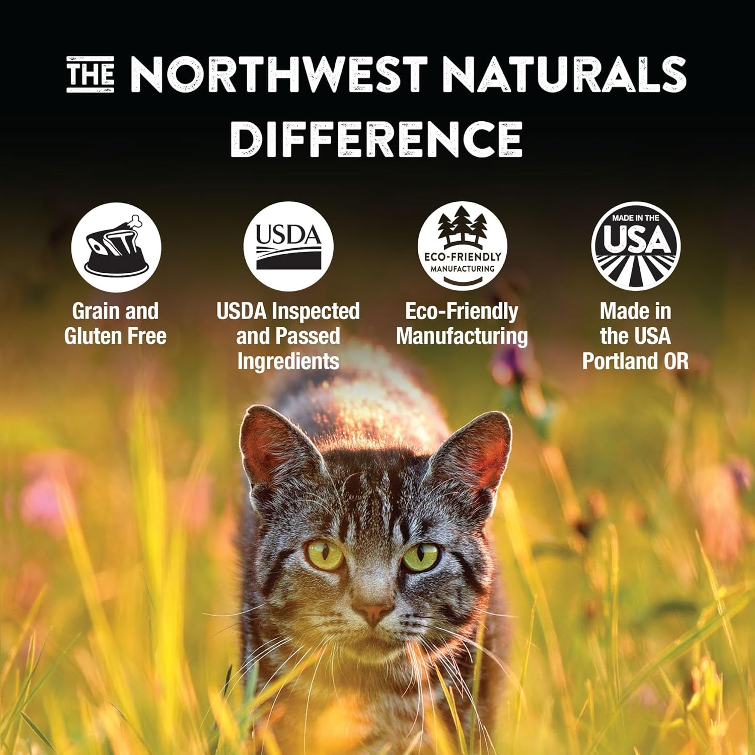Freeze-Dried Beef & Trout Cat & Kitten Food, Bite-Sized Nibbles, Healthy, Limited, Human-Grade Ingredients, All-Natural, High-Protein Raw Diet, Complete & Balanced, Grain-Free 11 Oz