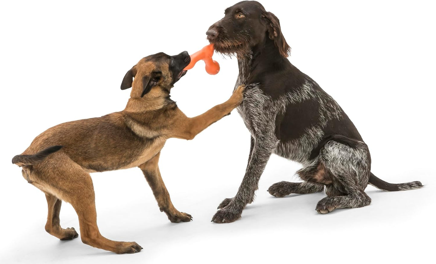 Zogoflex Air Skamp Tug-Of-War Stick Dog Chew Toy – Hollow, Squishy Interactive Toy for Dogs, Puppies – for Chewing, Catch, Carry, Fetch, Dishwasher Safe, Latex-Free, Large 8.5", Melon