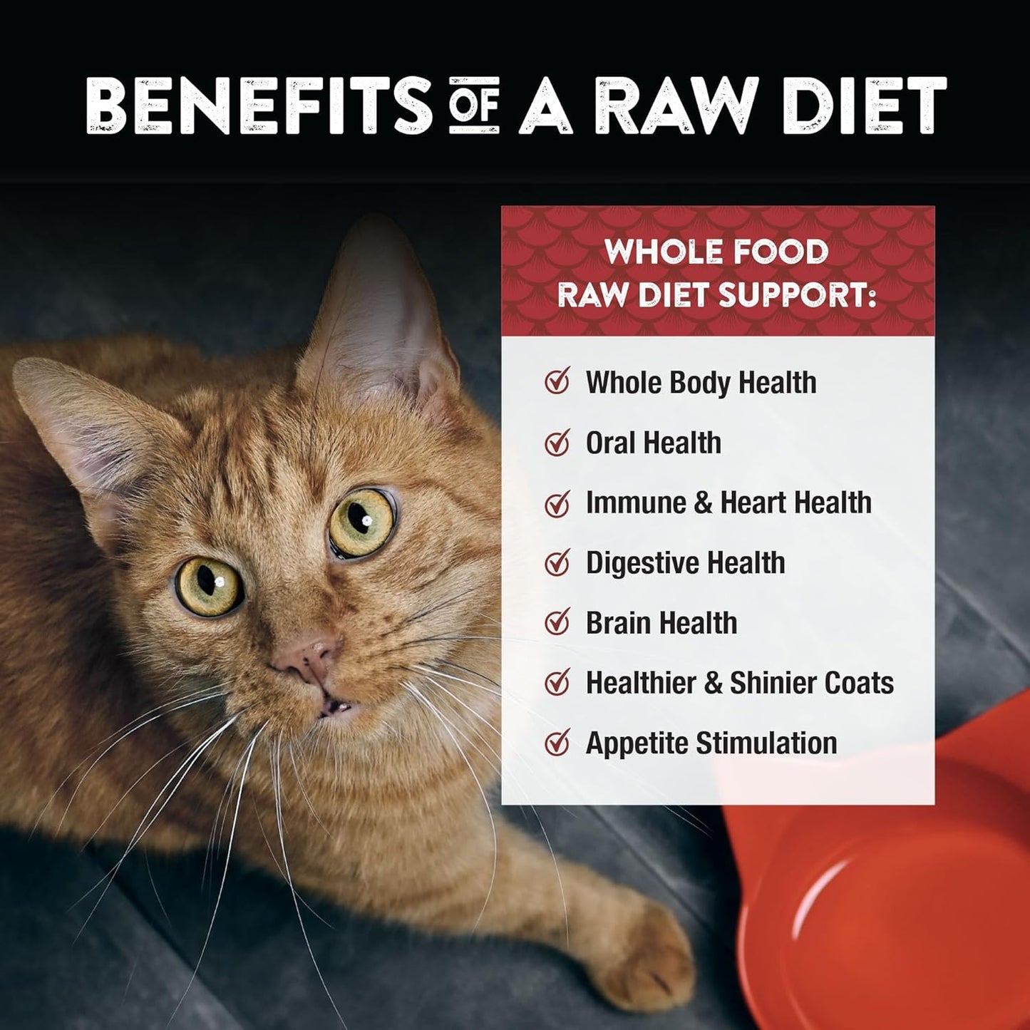 Freeze-Dried Beef & Trout Cat & Kitten Food, Bite-Sized Nibbles, Healthy, Limited, Human-Grade Ingredients, All-Natural, High-Protein Raw Diet, Complete & Balanced, Grain-Free 11 Oz